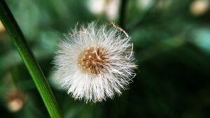 Allergies at Work Creating a Safe Environment