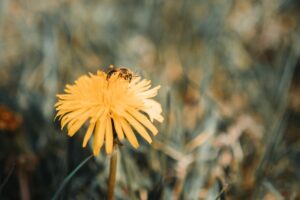Allergy-Friendly Travel Staying Safe on the Go