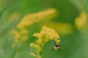 Allergy-Proof Your Home