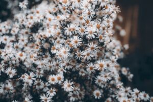 Anaphylaxis Awareness What Everyone Should Know