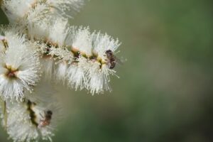 The Science of Allergies How Your Body Reacts